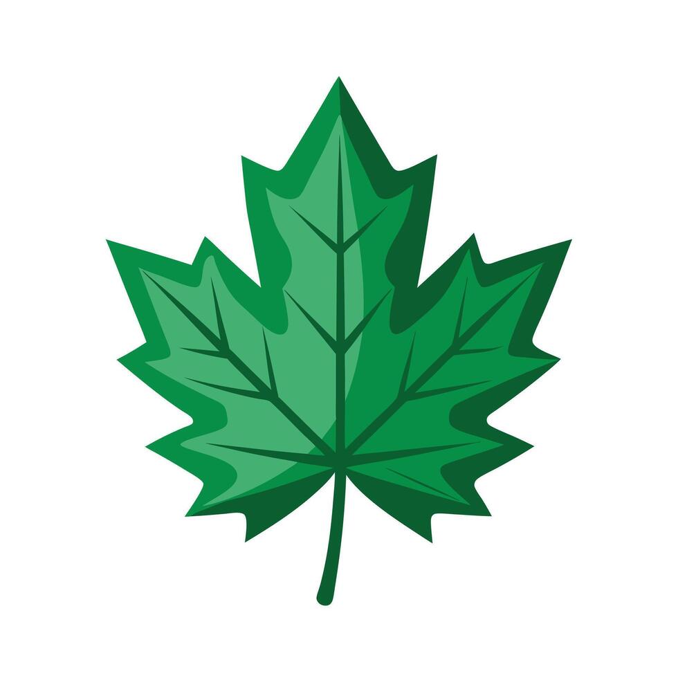 Realistic Beautiful Leaves Illustration vector