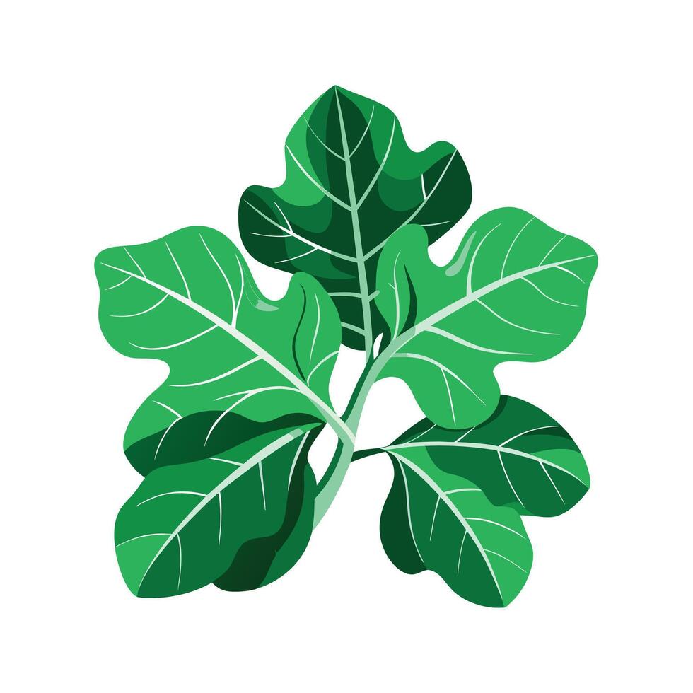 Realistic Beautiful Leaves Illustration vector