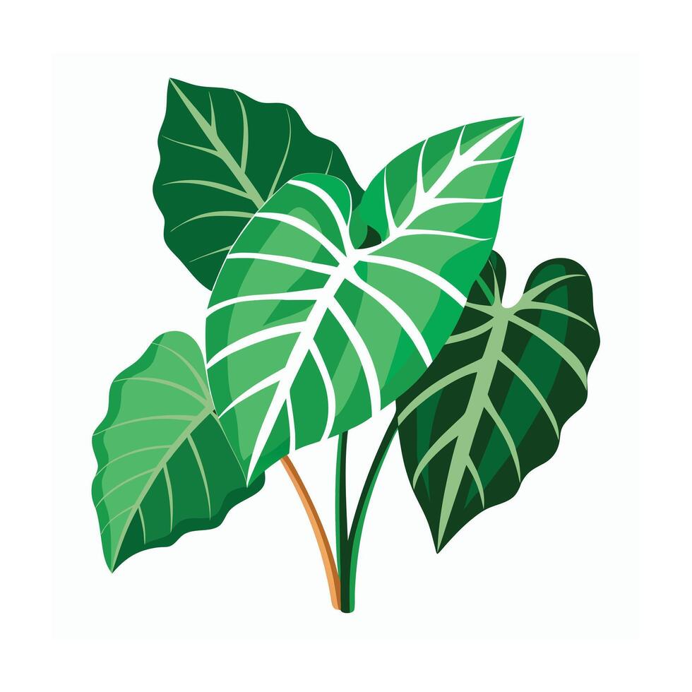 Realistic Beautiful Leaves Illustration vector