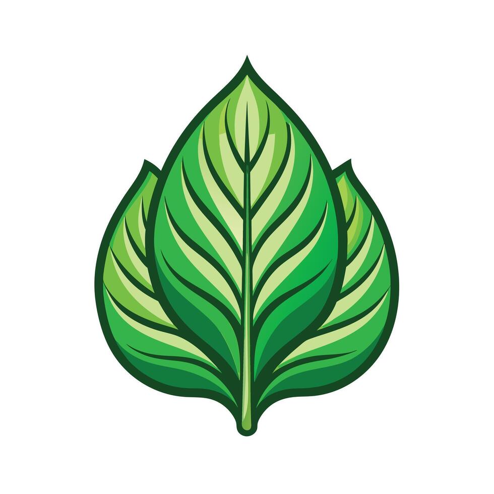 Realistic Beautiful Leaves Illustration vector