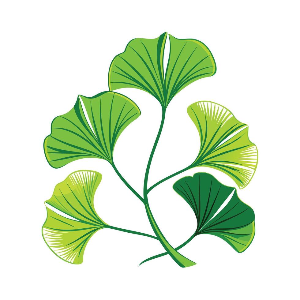 Realistic Beautiful Leaves Illustration vector