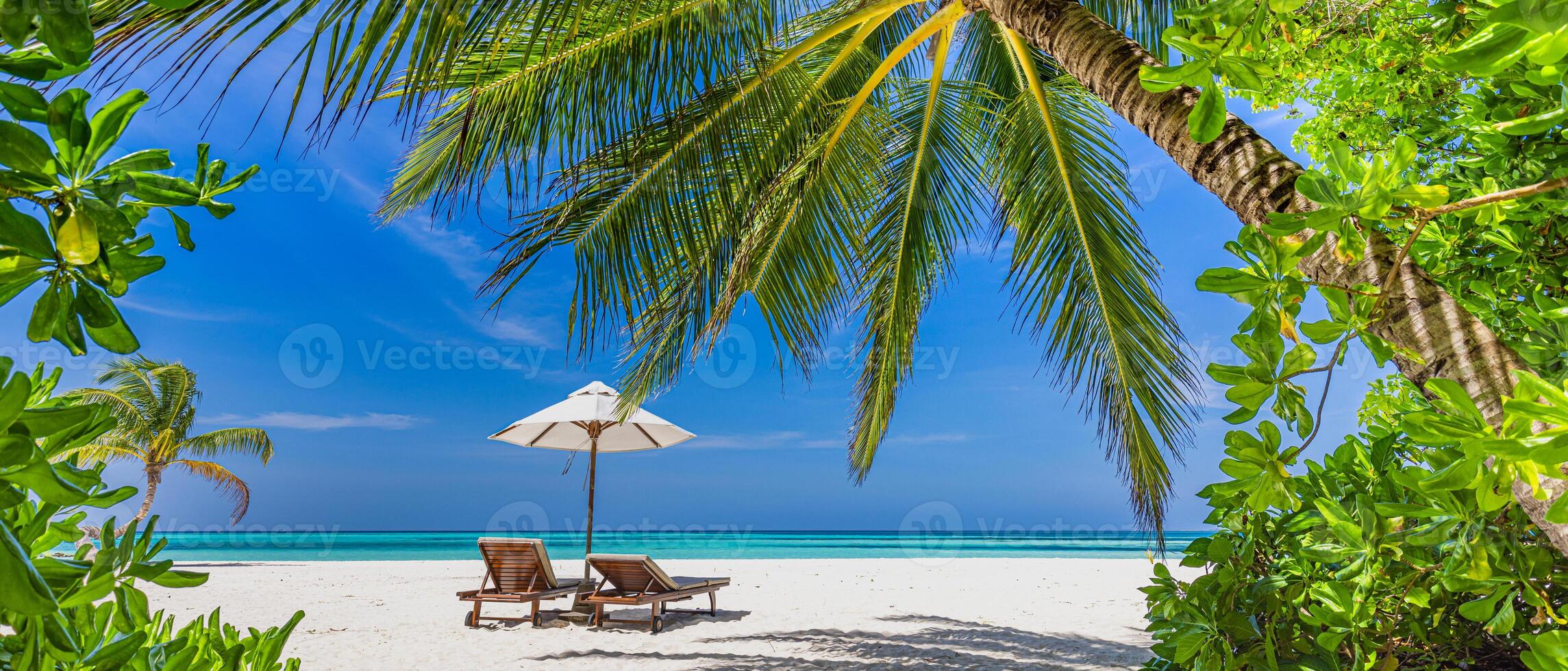 Tropical beach nature as summer landscape with lounge chairs and palm trees and calm sea for beach banner. Luxurious travel landscape, beautiful destination for vacation or holiday. Beach scene photo