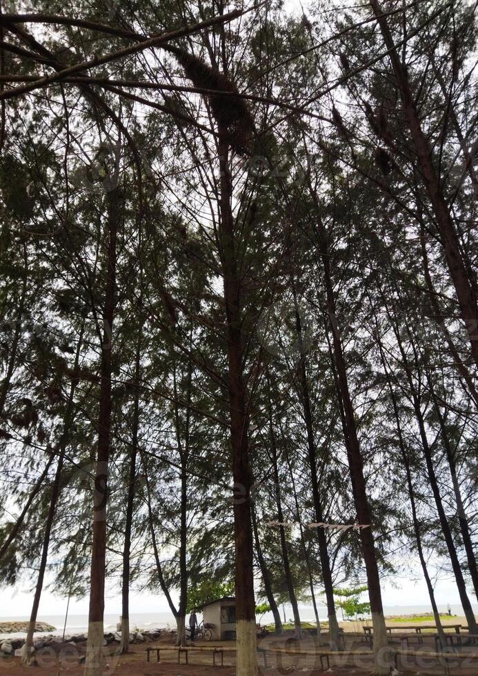 Tourist attractions in the remote villages of Indonesia with scenic views photo