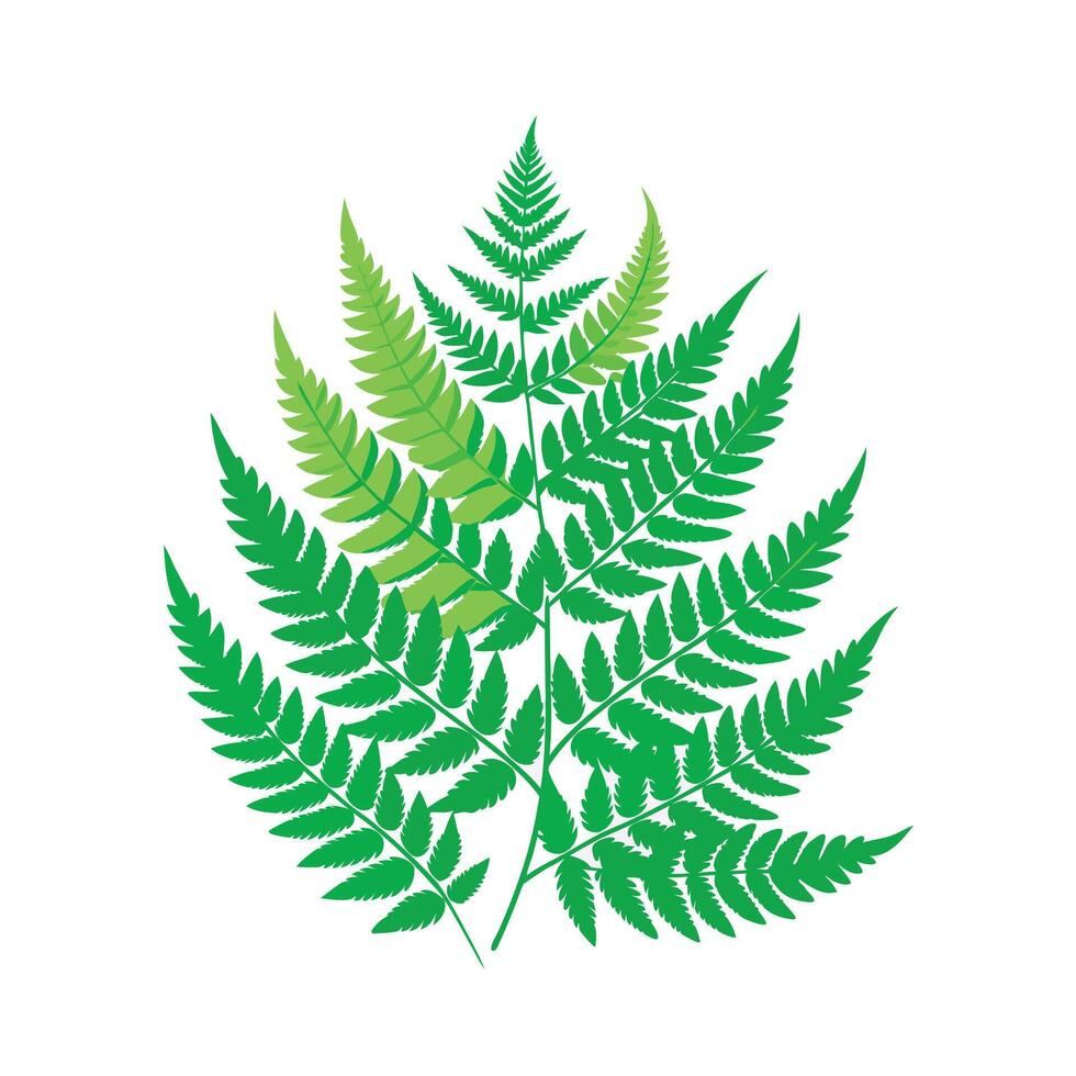Realistic Beautiful Leaves Illustration vector