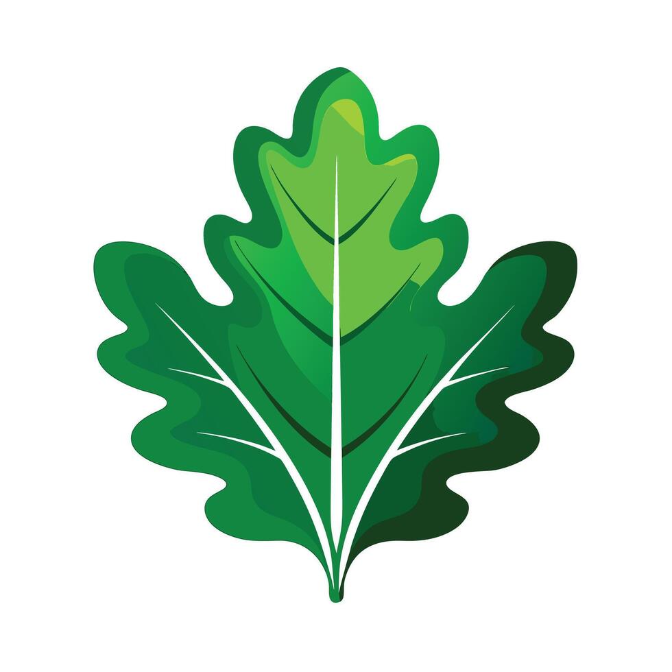 Realistic Beautiful Leaves Illustration vector