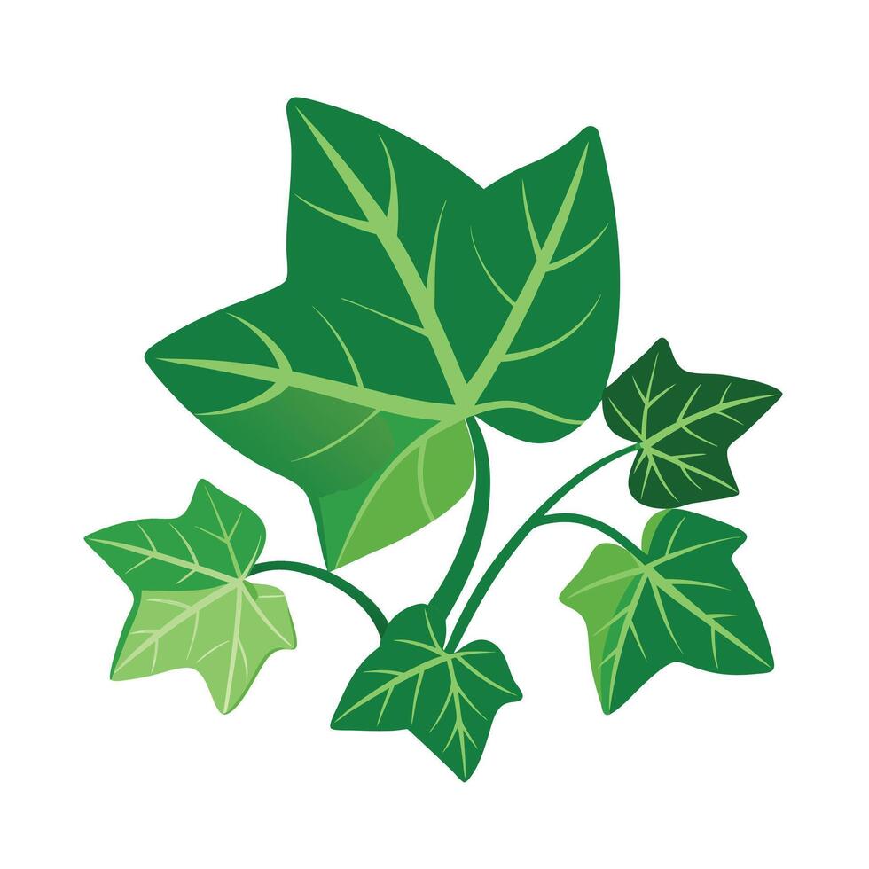 Realistic Beautiful Leaves Illustration vector