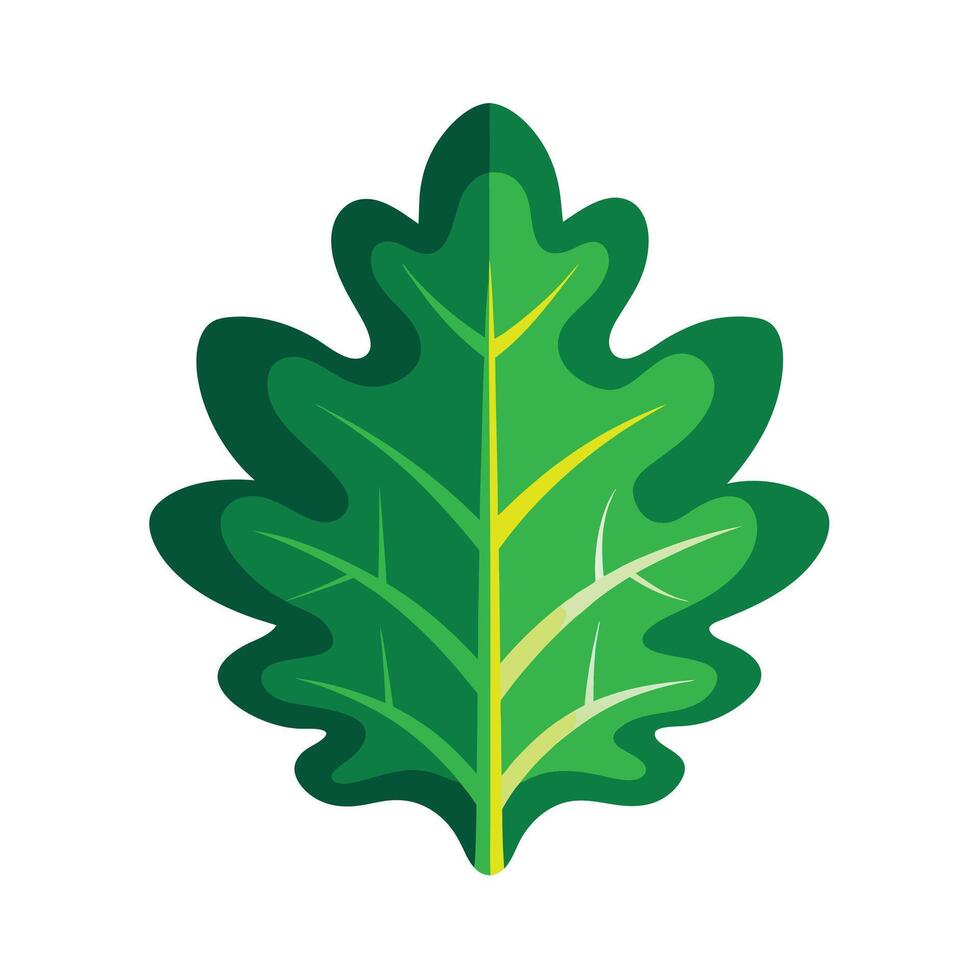Realistic Beautiful Leaves Illustration vector