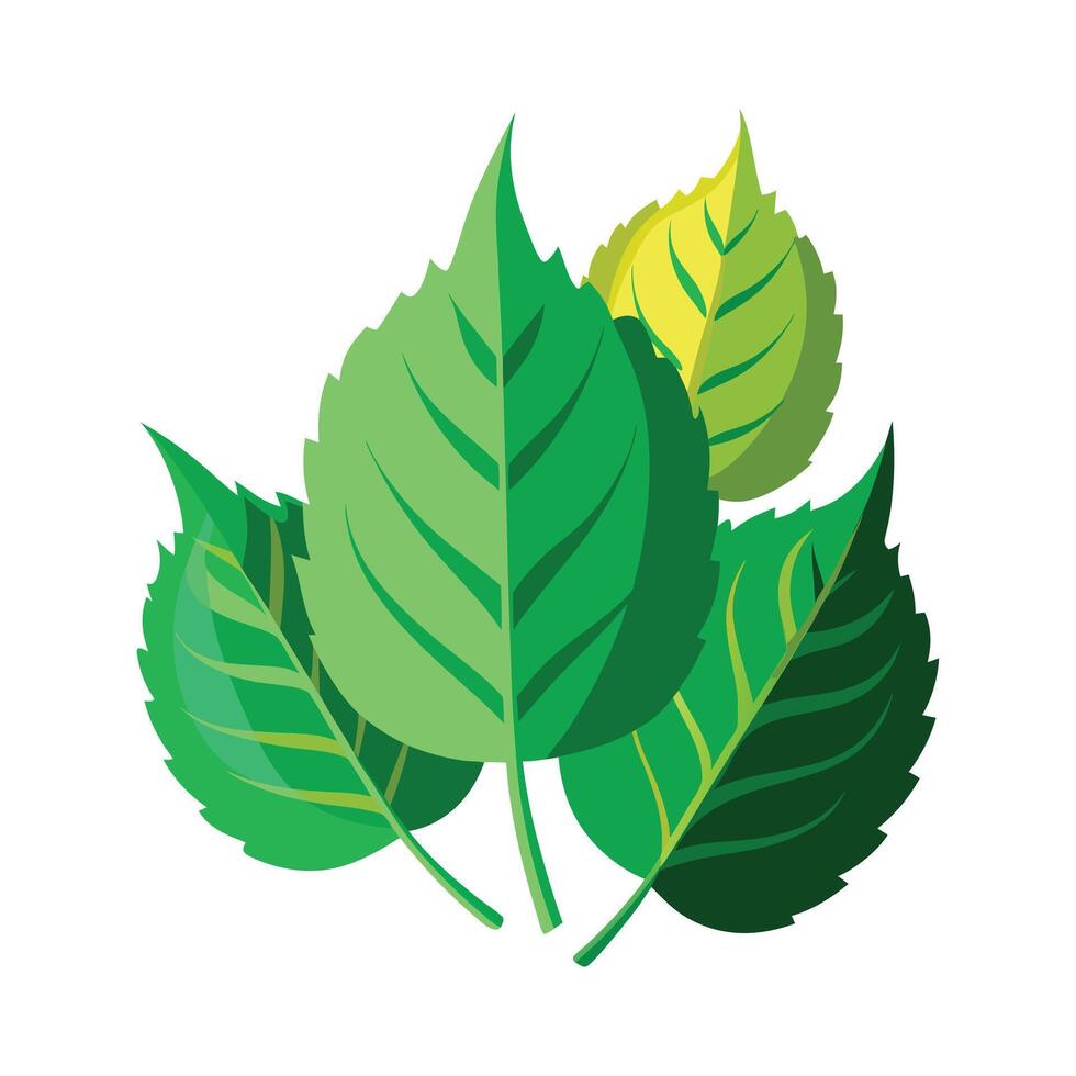 Realistic Beautiful Leaves Illustration vector