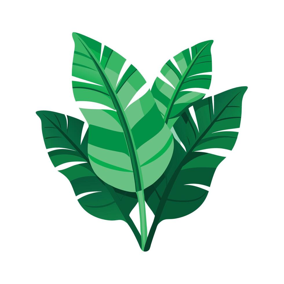Realistic Beautiful Leaves Illustration vector