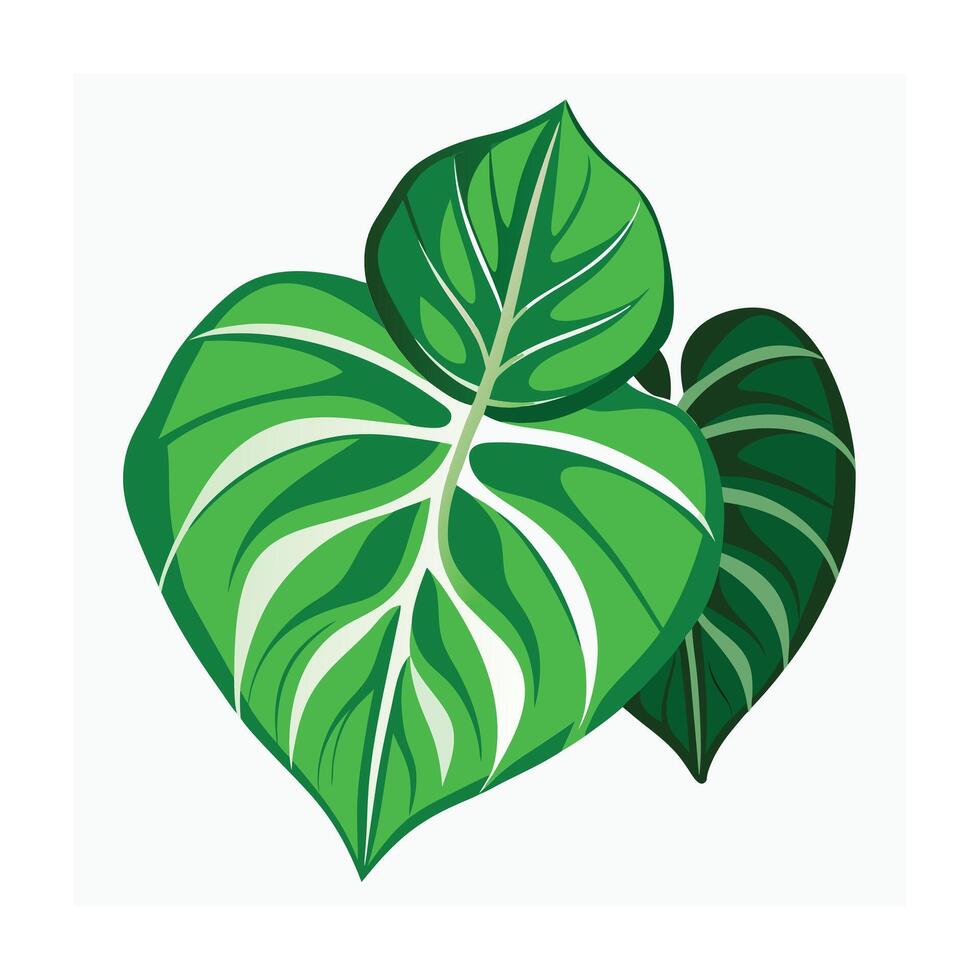 Realistic Beautiful Leaves Illustration vector