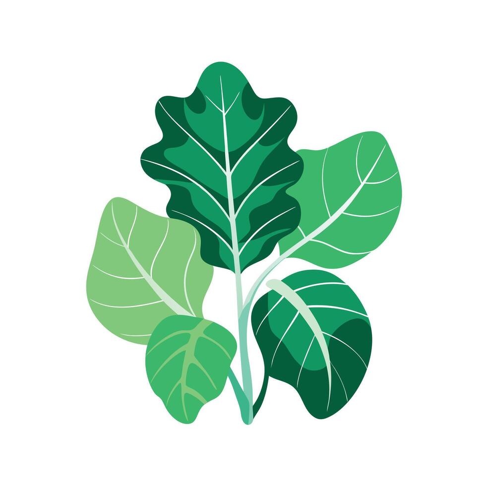 Realistic Beautiful Leaves Illustration vector