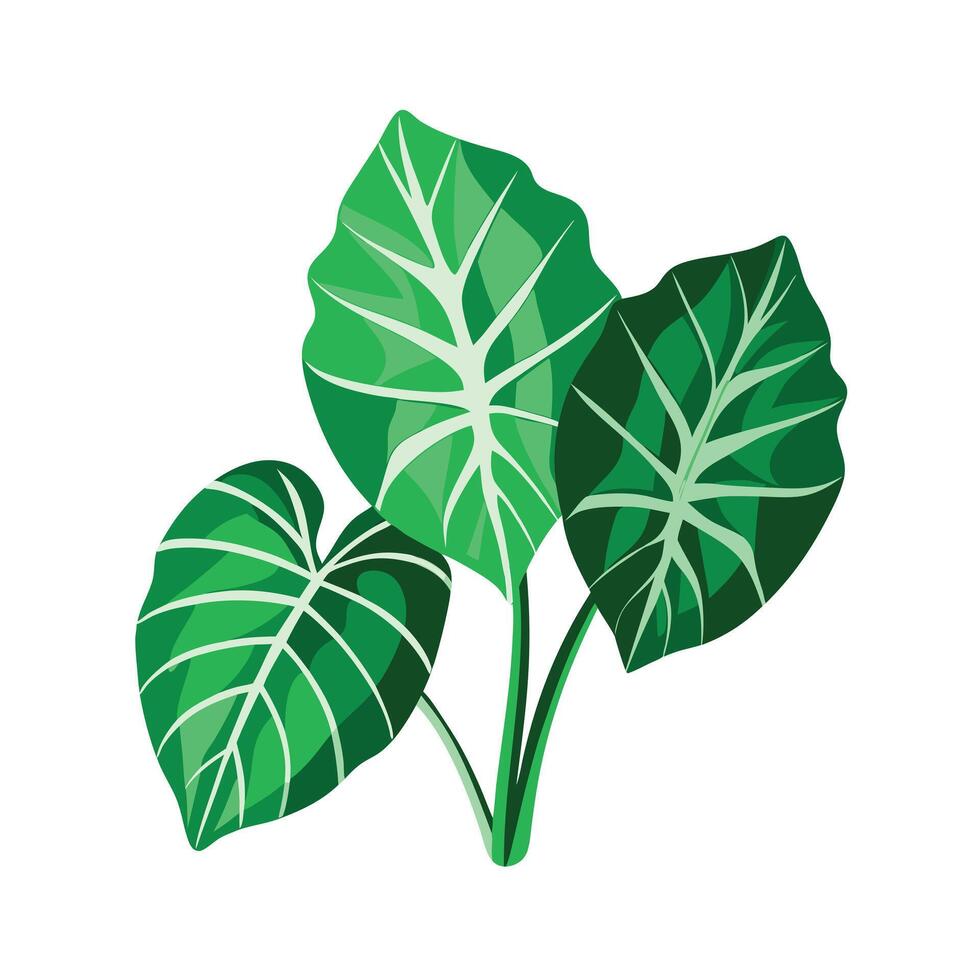 Realistic Beautiful Leaves Illustration vector