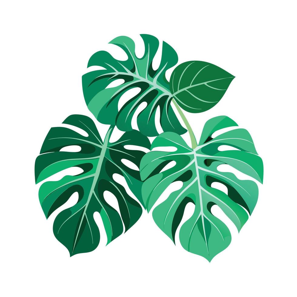 Realistic Beautiful Leaves Illustration vector