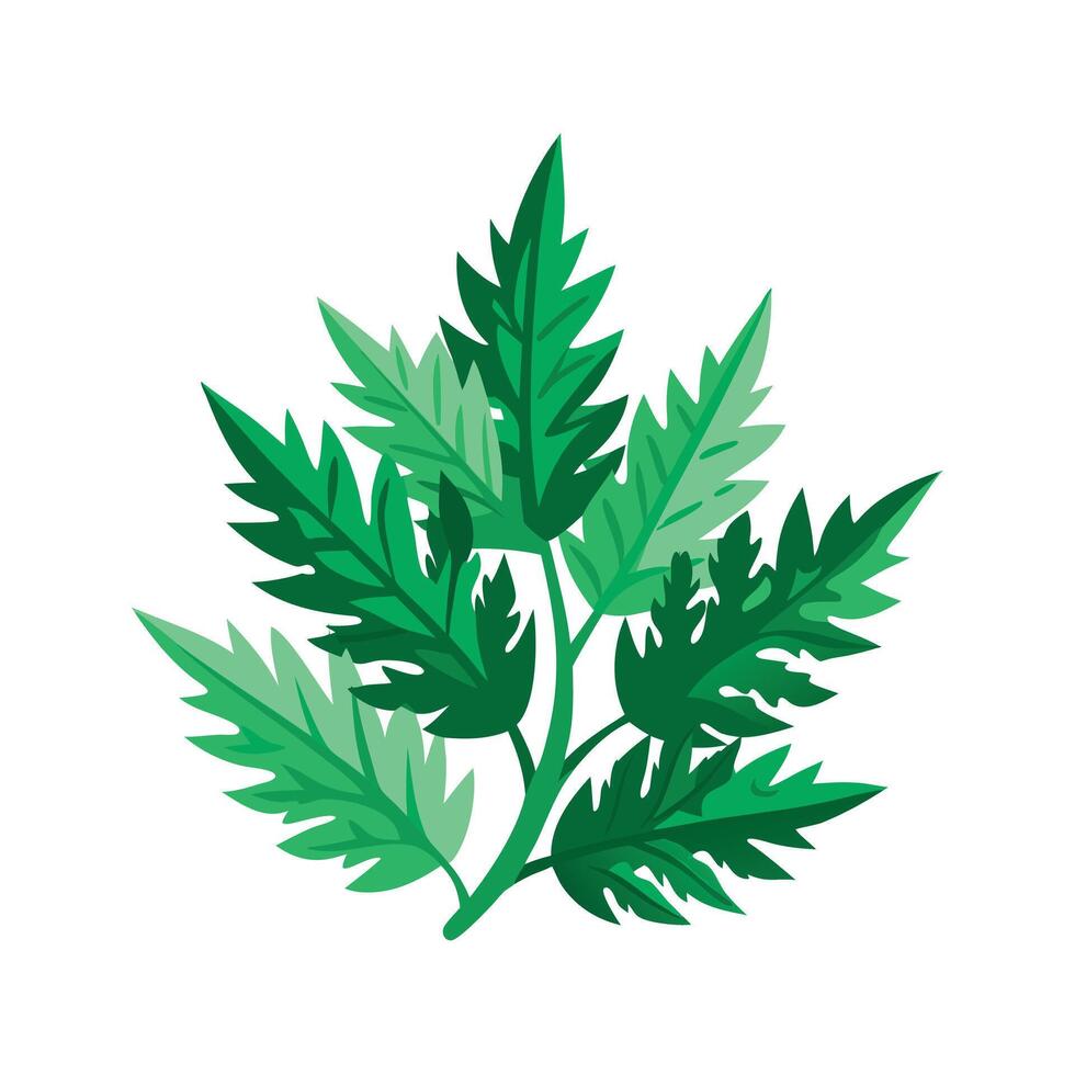 Realistic Beautiful Leaves Illustration vector