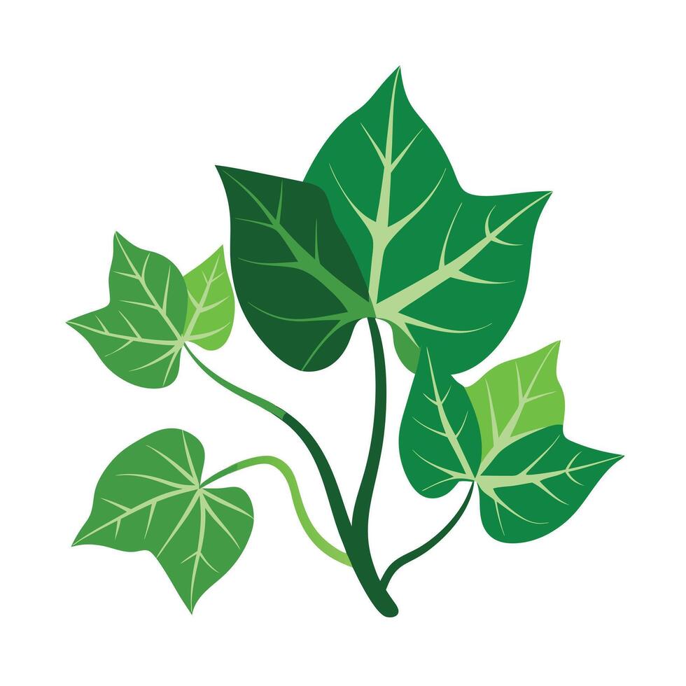Realistic Beautiful Leaves Illustration vector