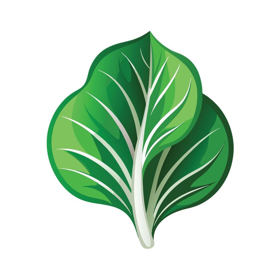 Realistic Beautiful Leaves Illustration vector