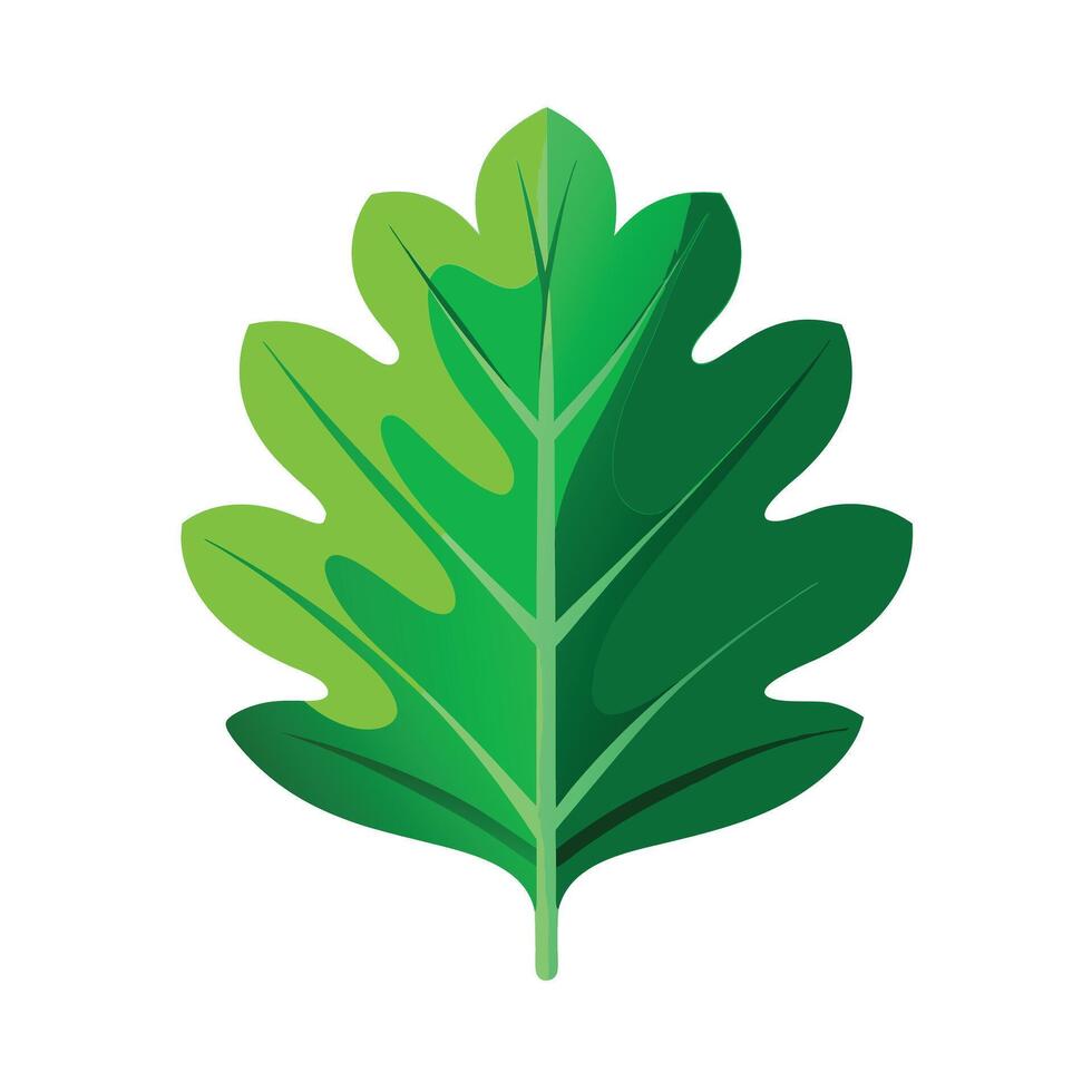 Realistic Beautiful Leaves Illustration vector