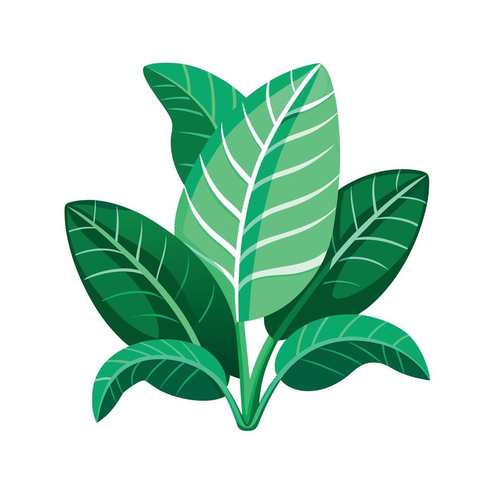 Realistic Beautiful Leaves Illustration vector