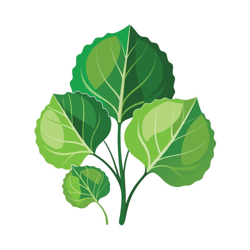 Realistic Beautiful Leaves Illustration vector