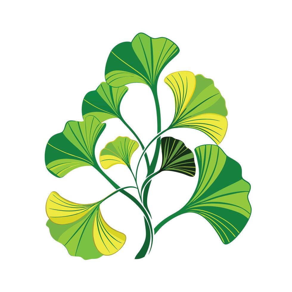 Realistic Beautiful Leaves Illustration vector