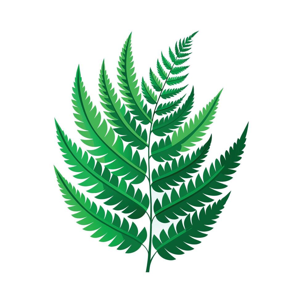 Realistic Beautiful Leaves Illustration vector