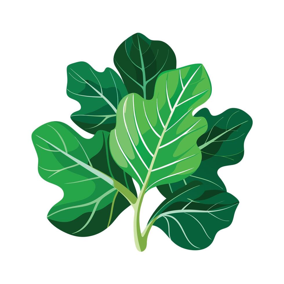 Realistic Beautiful Leaves Illustration vector
