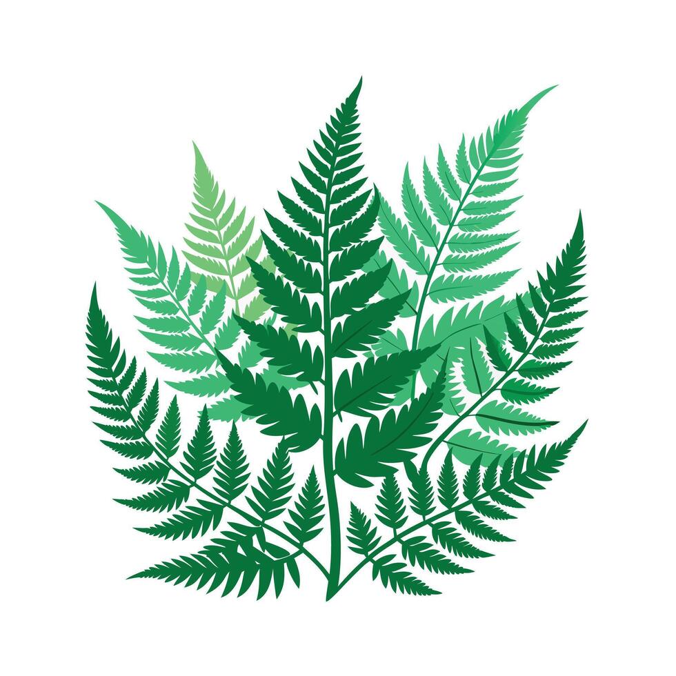 Realistic Beautiful Leaves Illustration vector