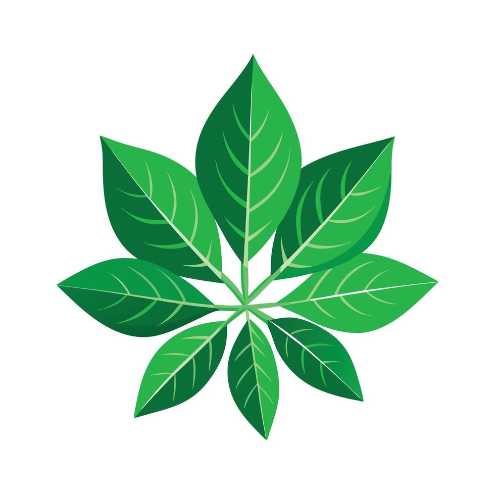 Realistic Beautiful Leaves Illustration vector