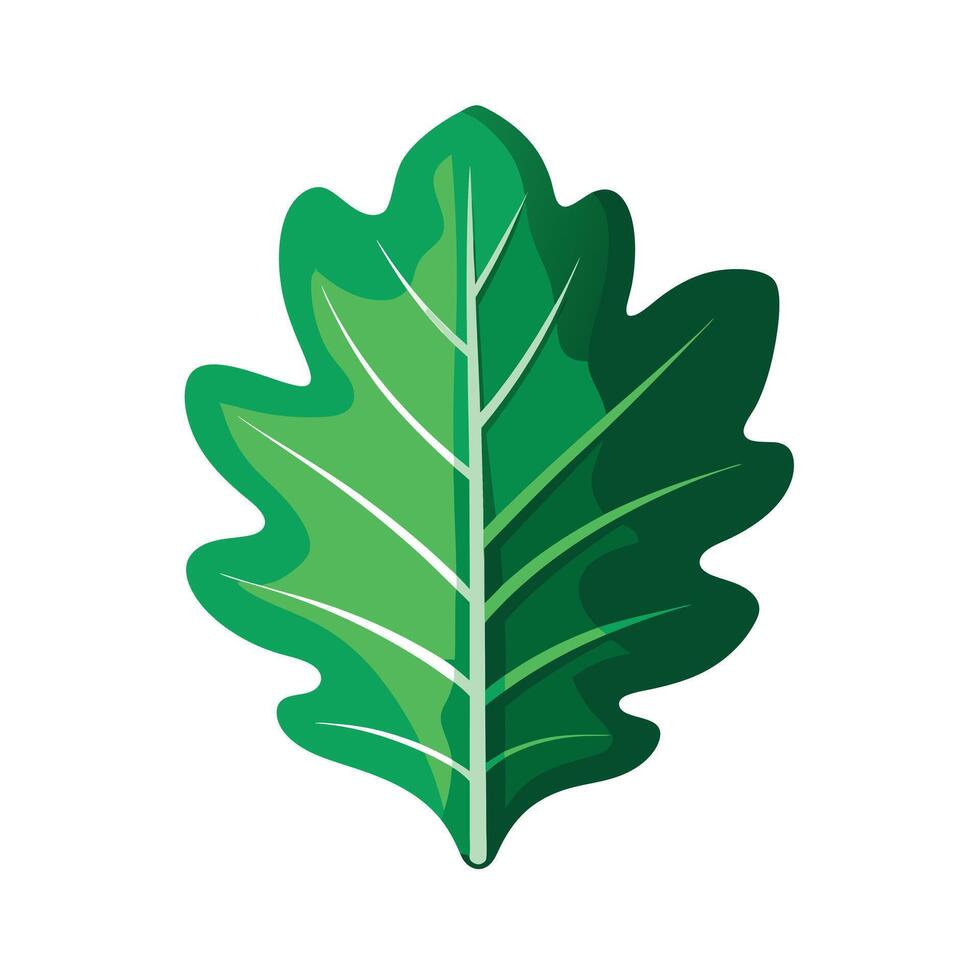 Realistic Beautiful Leaves Illustration vector