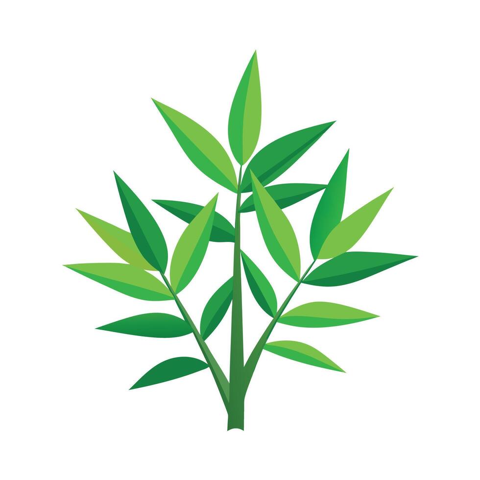 Realistic Beautiful Leaves Illustration vector