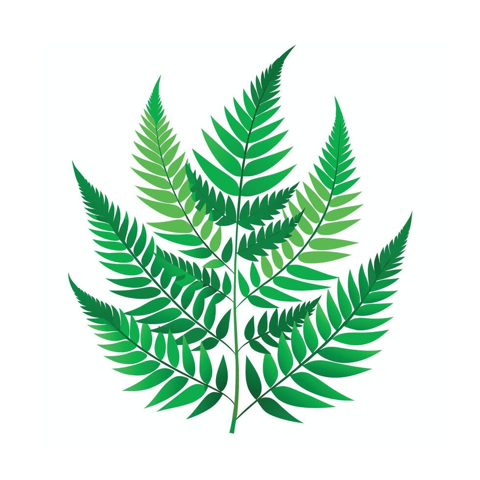 Realistic Beautiful Leaves Illustration vector