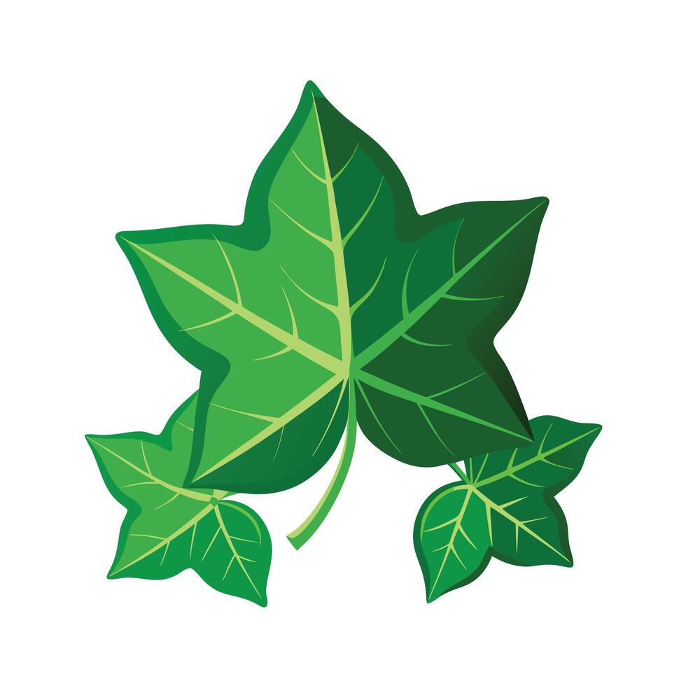 Realistic Beautiful Leaves Illustration vector