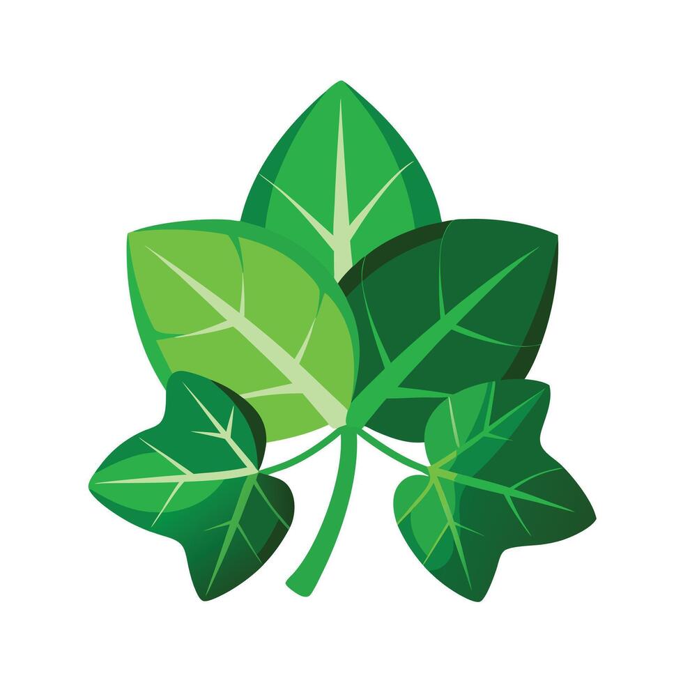 Realistic Beautiful Leaves Illustration vector