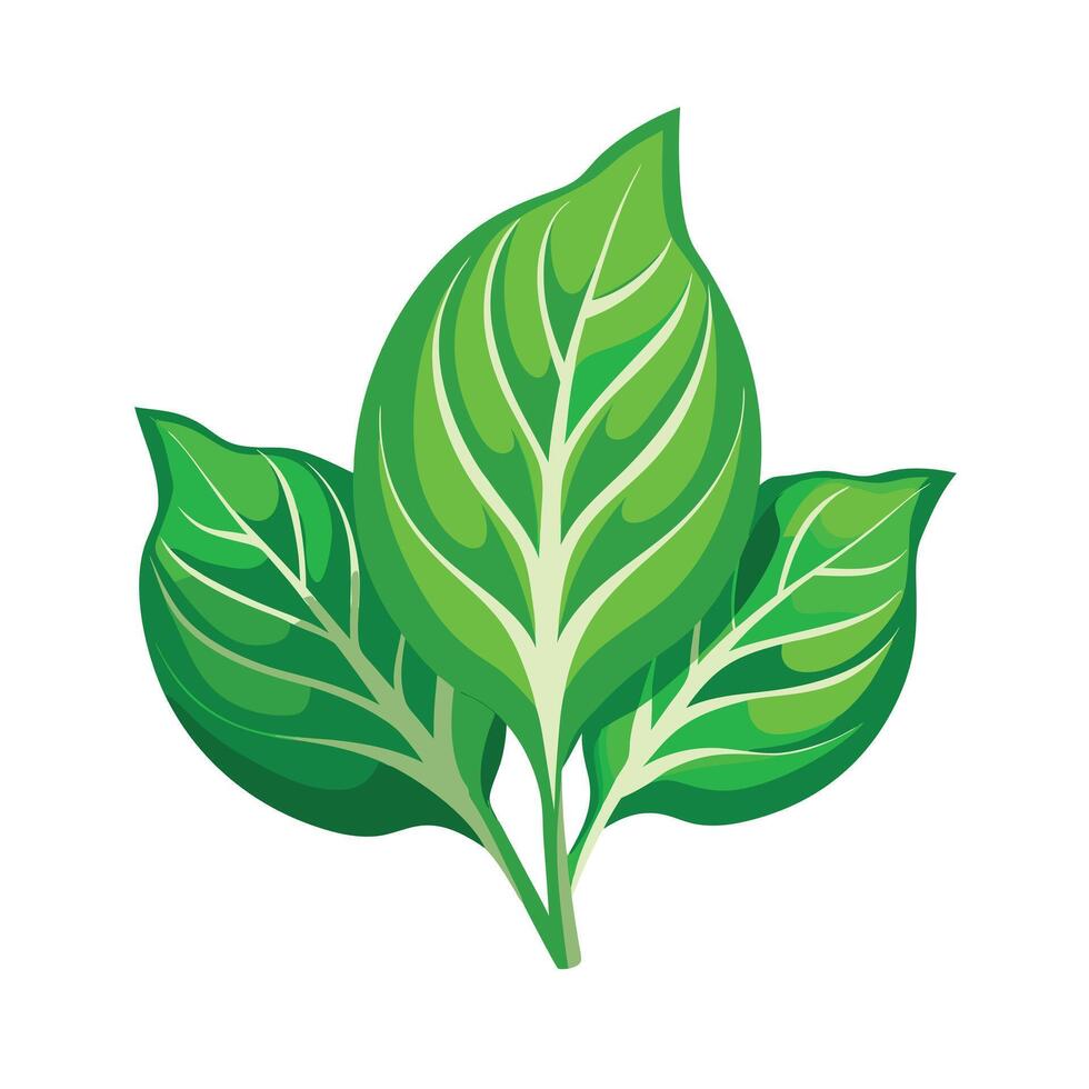 Realistic Beautiful Leaves Illustration vector