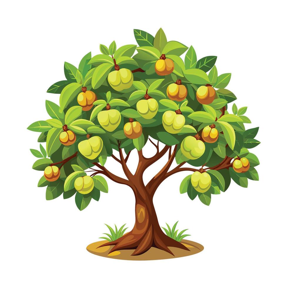 Beautiful Single Big Tree Illustration vector