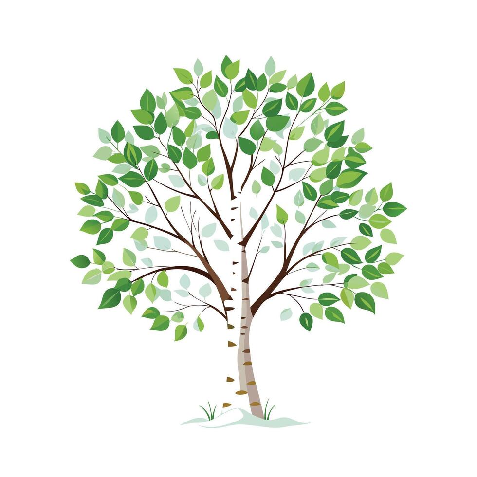 Beautiful Single Big Tree Illustration vector