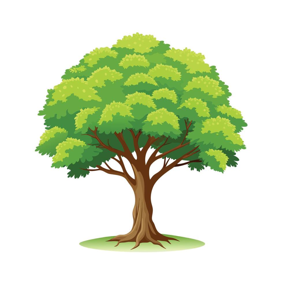 Beautiful Single Big Tree Illustration vector