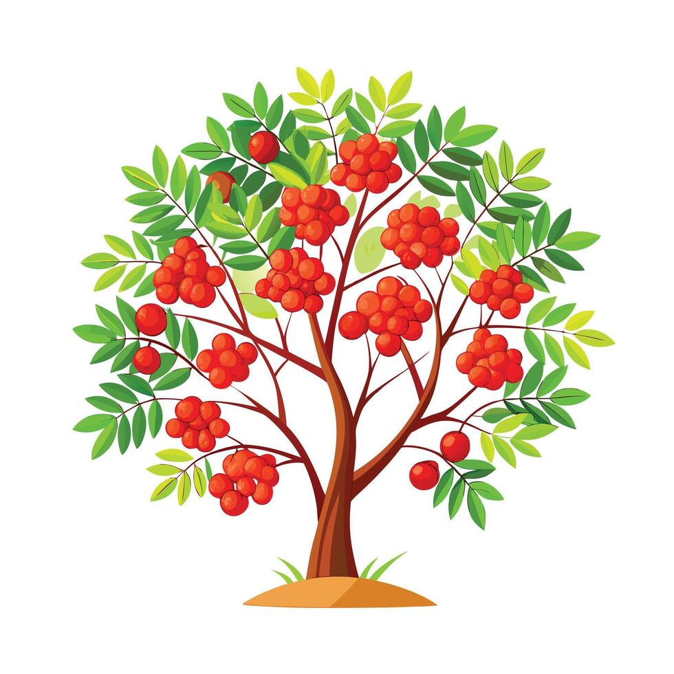 Beautiful Single Big Tree Illustration vector