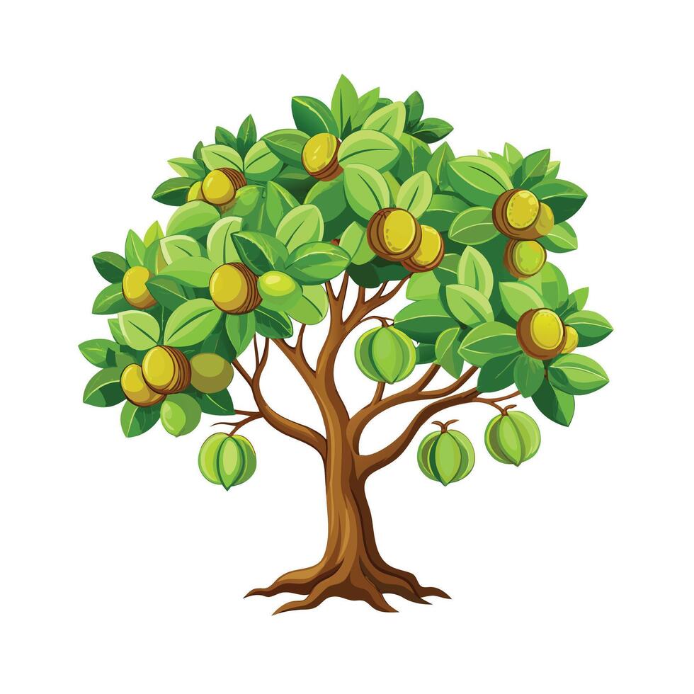 Beautiful Single Big Tree Illustration vector