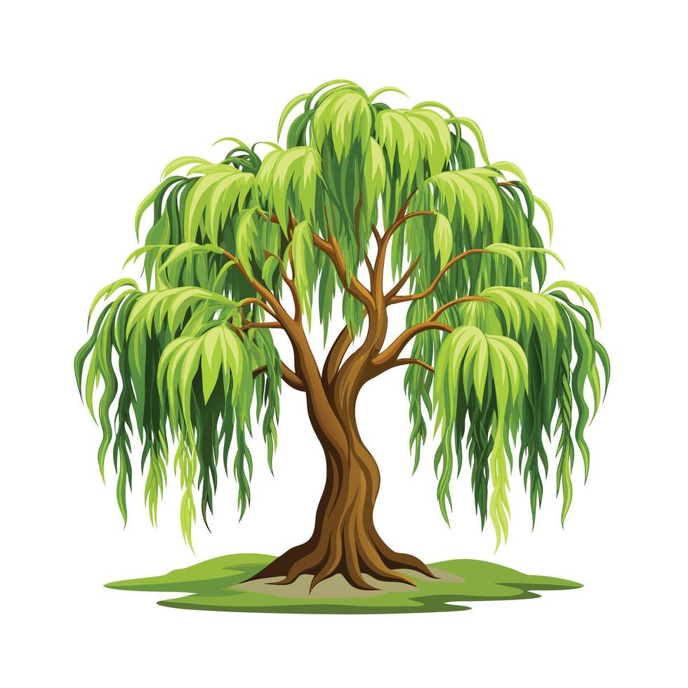 Beautiful Single Big Tree Illustration vector