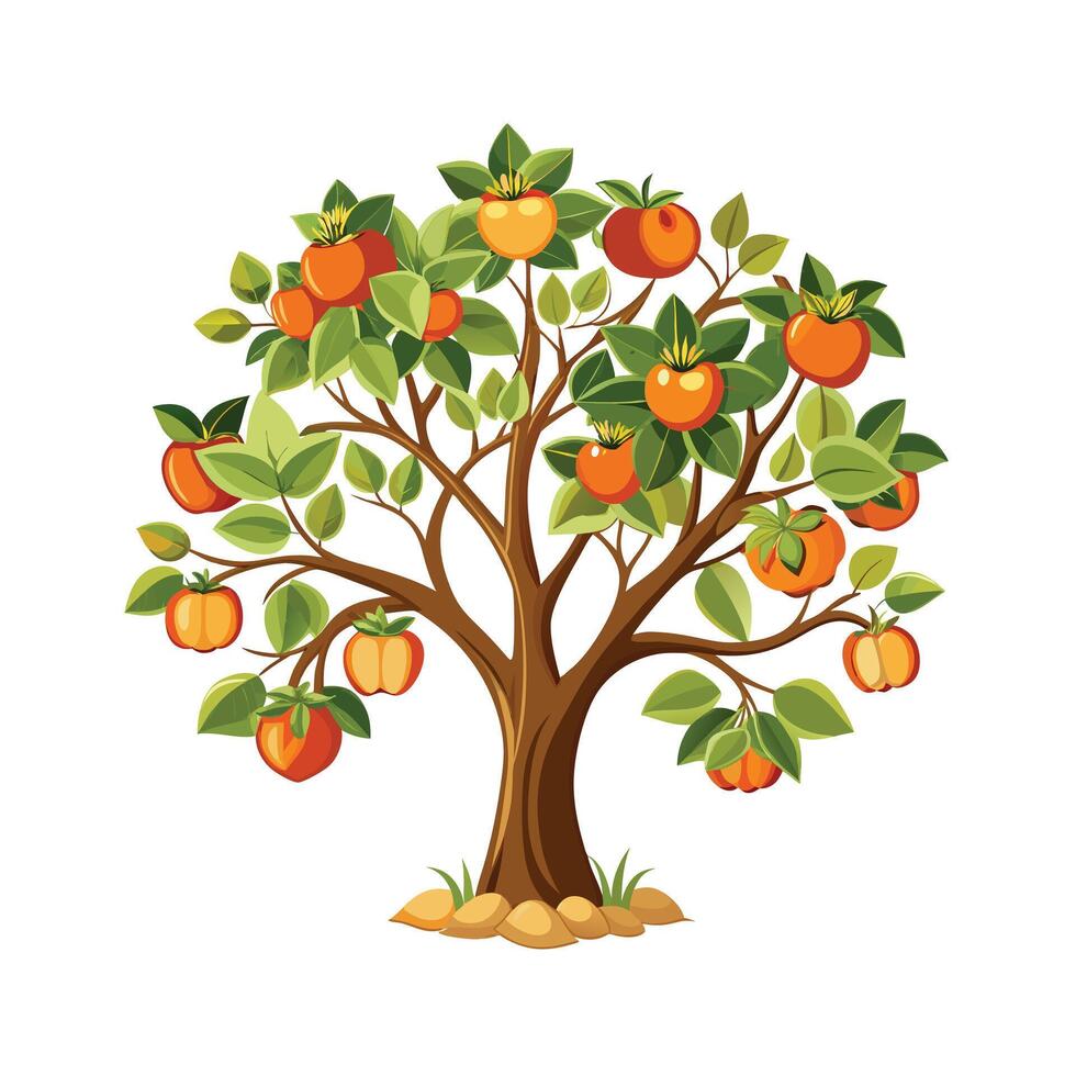 Beautiful Single Big Tree Illustration vector
