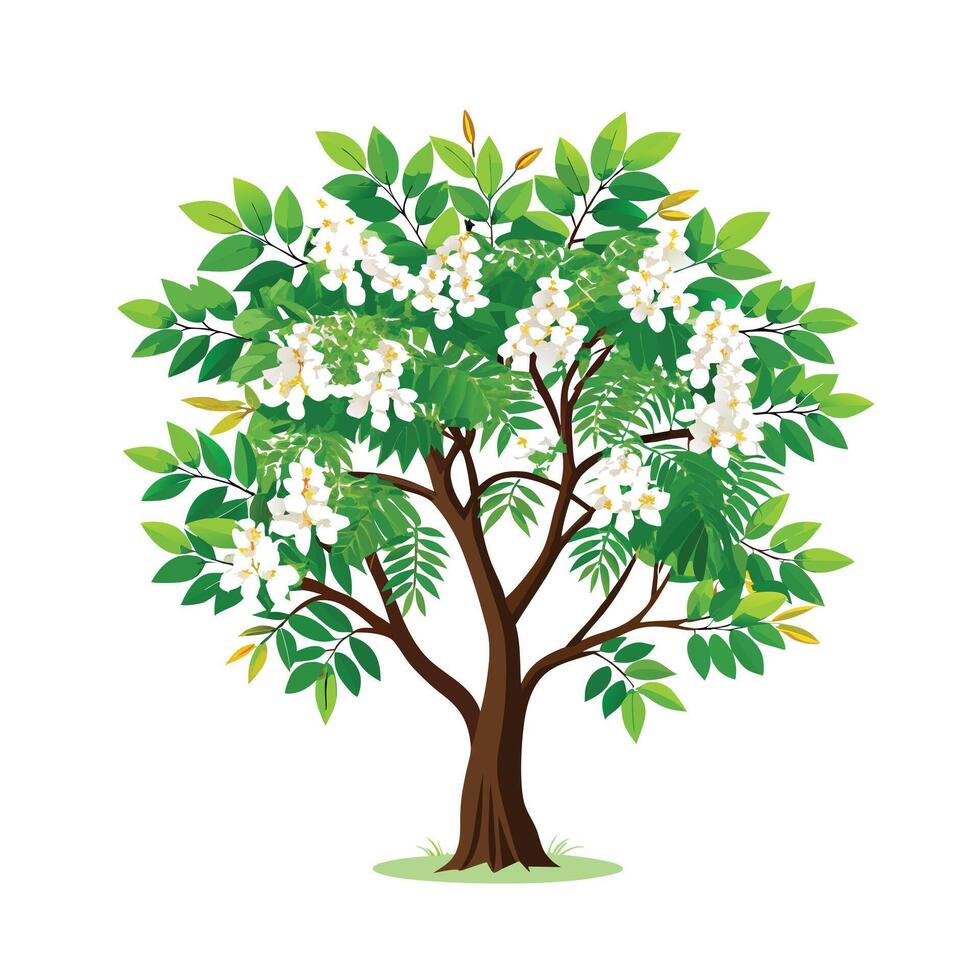 Beautiful Single Big Tree Illustration vector