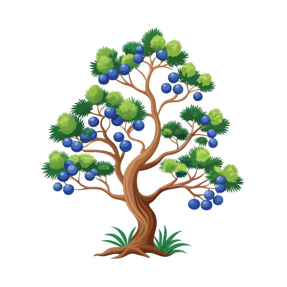 Beautiful Single Big Tree Illustration vector