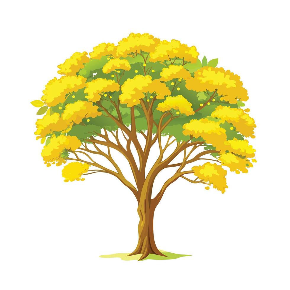 Beautiful Single Big Tree Illustration vector