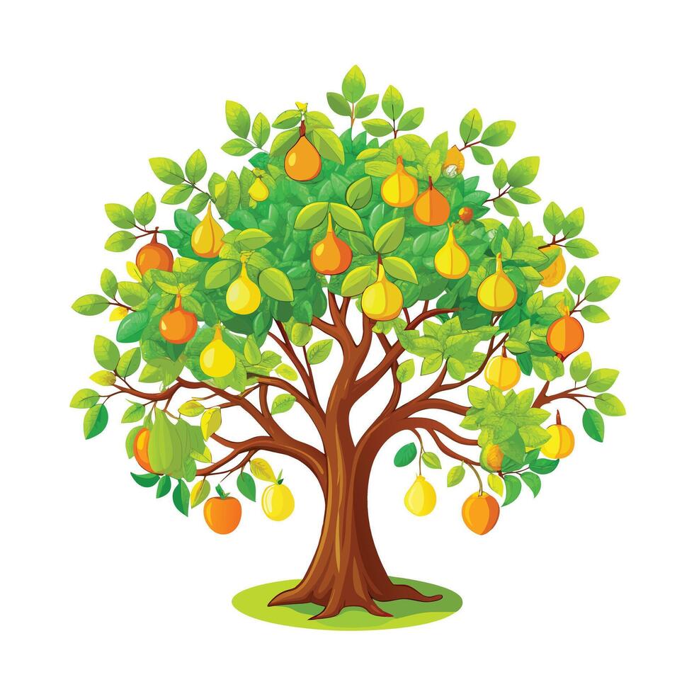 Beautiful Single Big Tree Illustration vector