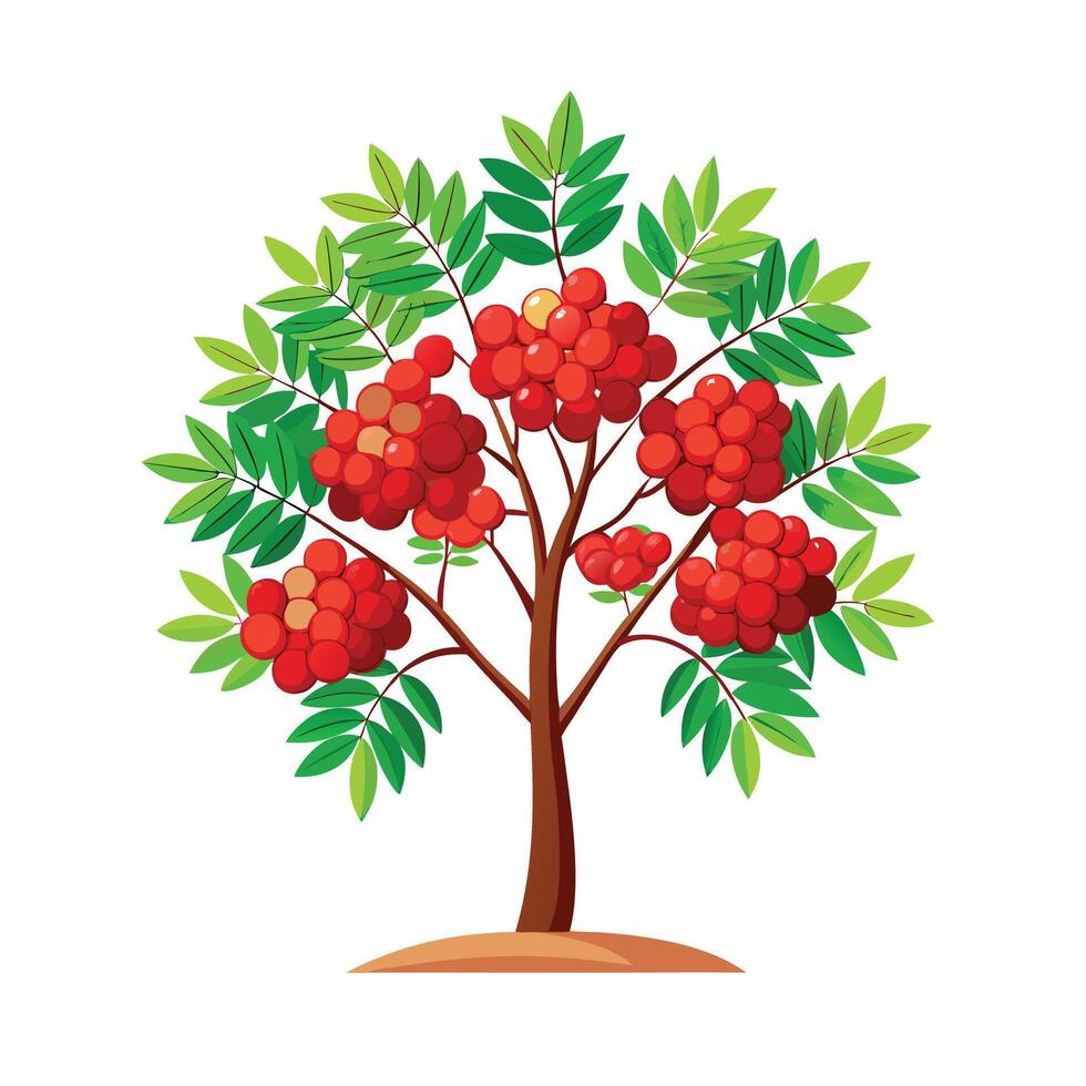 Beautiful Single Big Tree Illustration vector