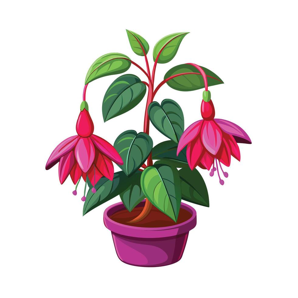 Beautiful Flowerpot Houseplant Illustration vector