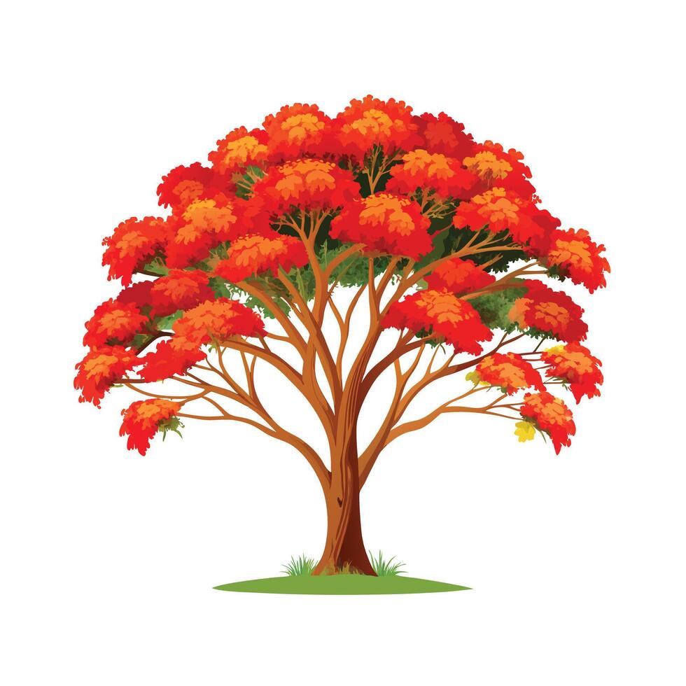 Beautiful Single Big Tree Illustration vector
