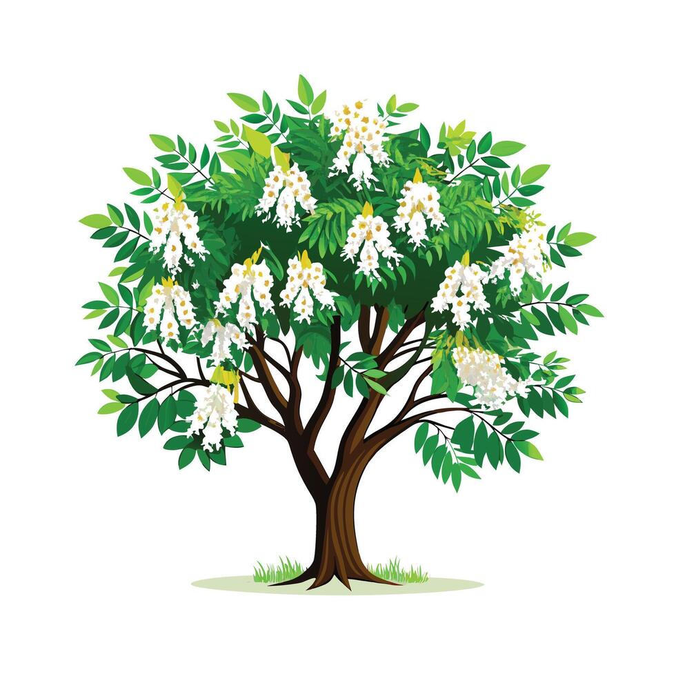 Beautiful Single Big Tree Illustration vector