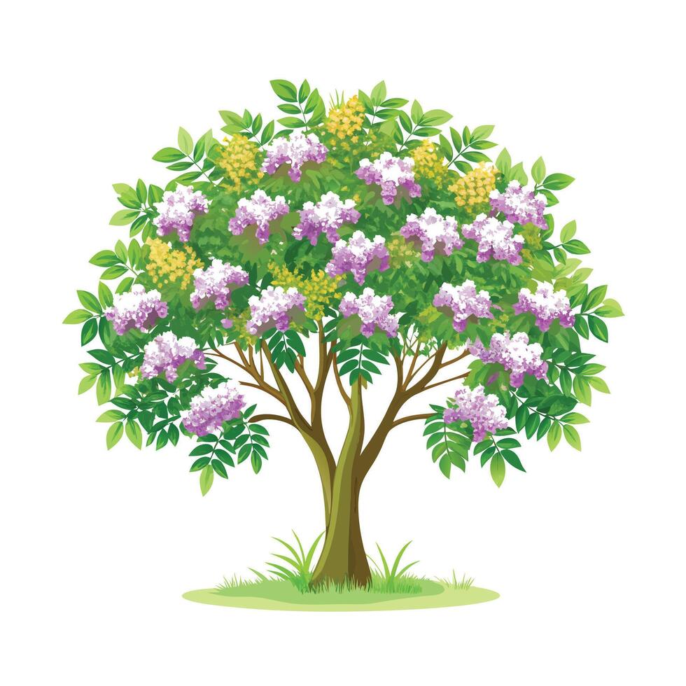 Beautiful Single Big Tree Illustration vector